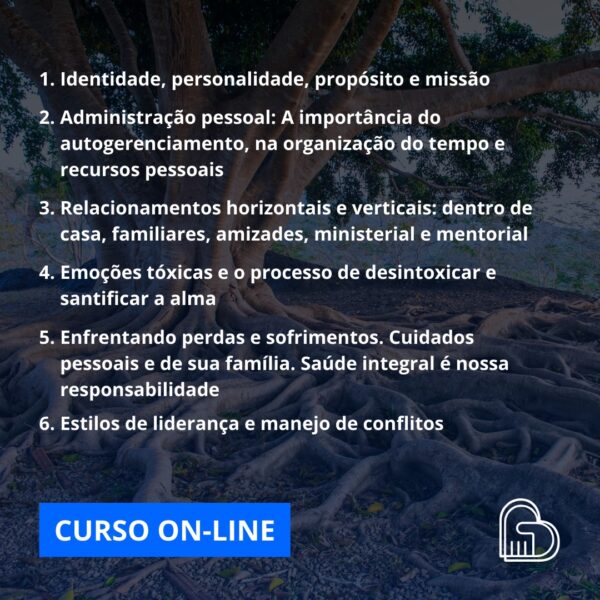 Maturidade Emocional do Ministro - Image 2